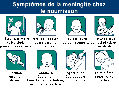les meningites